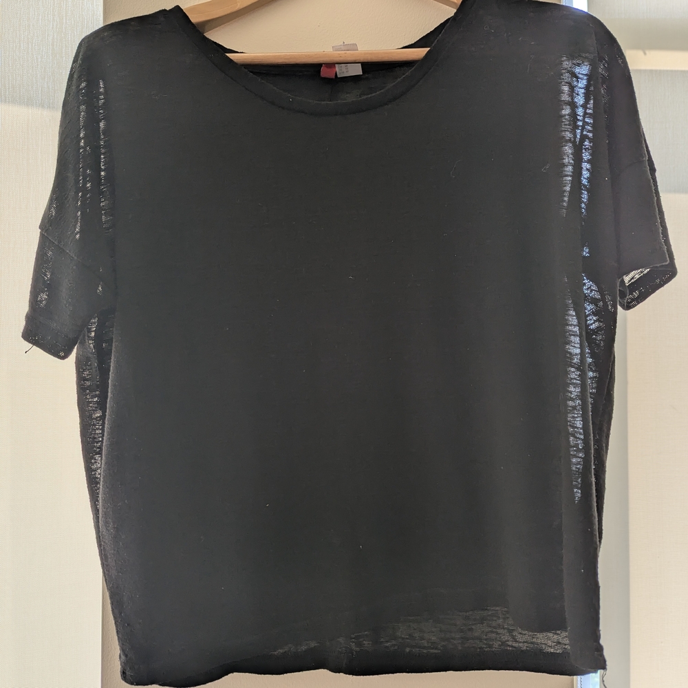 Divoded Black Sheer Crop Women's Top